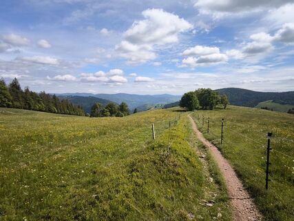Foto von Dietmar Lüdenscheid ? entlang der Tour