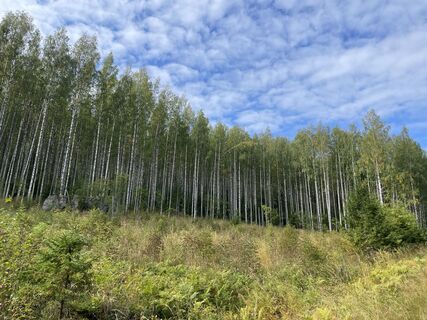 Foto von Nikolaus Ludwig 1 entlang der Tour