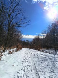 Photo de Julika Jármer le long du parcours