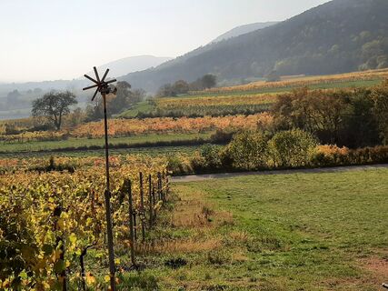 Foto von Thomas Goll entlang der Tour