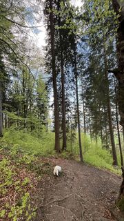 Foto von Maja Mariann Nagy entlang der Tour