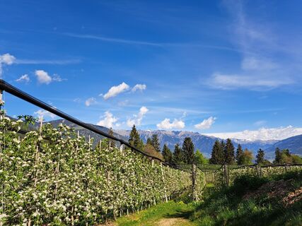 Photo de Egnerute le long du parcours