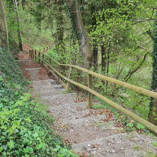 Löffelkrautweg Ollarzried