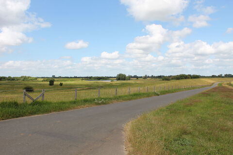 Blick auf den Deich und die Emsauen bei Rhede (Ems)