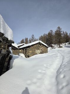 Foto van FABIO MAGLIANO langs de tour