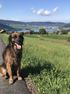 Foto von Barbara Morf entlang der Tour