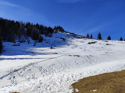 Fotografija s spletne strani Margit Leitner 1 na poti