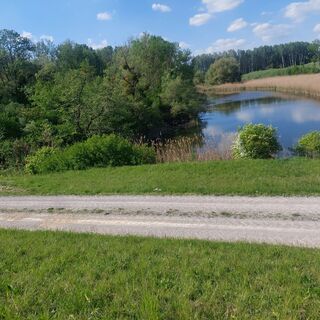 Foto fra Brigitte Binder undervejs på turen