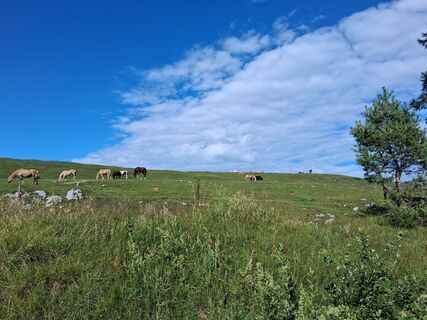 Foto von Miranda Den Hollander de Hooge entlang der Tour