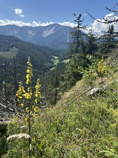 Fotografie de la Robert Kremlicka de-a lungul turului