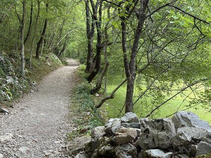 Fotografia z Dan Juvan na trase