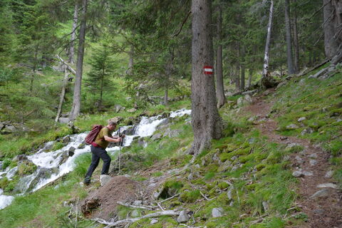 wildes Rauschen begleitet uns beim Aufstieg