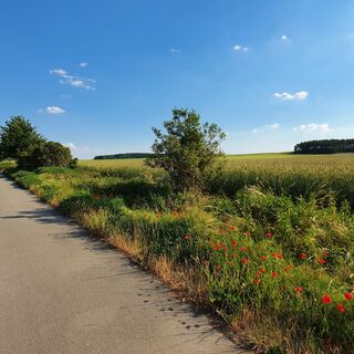 Altmarkrundkurs - Zwischen Gardelegen und Klötze
