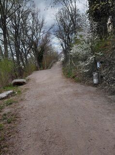 Foto von Melanie Pippan entlang der Tour