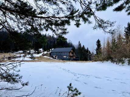 Фото с сайта Werner Sejka во время экскурсии