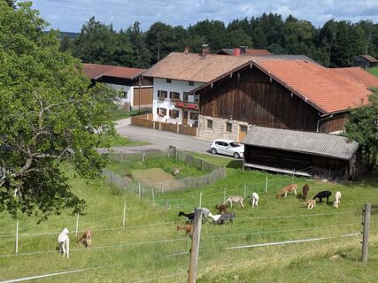 Photo de Eva Oppermann le long du parcours