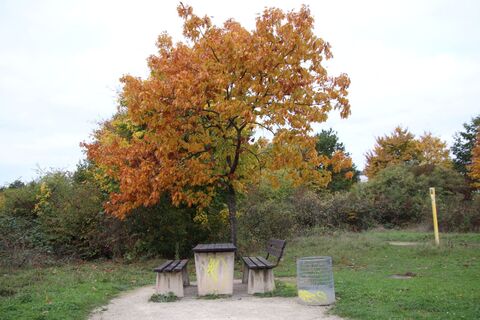 Photo from Günter Kleutsch along the tour