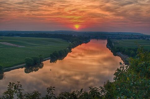 Neckartal bei Lauffen am NEckar | HeilbronnerLand