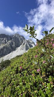 Photo de Mountain Cat ? ⛰️ le long du parcours