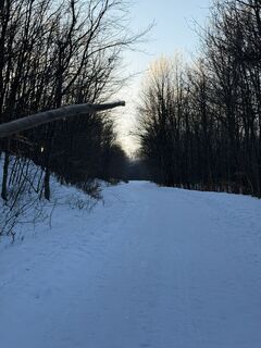 Zdjęcie z Levente Szádeczky wzdłuż trasy