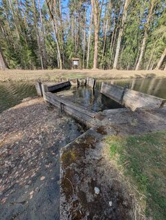Foto de Speedy Gonzales a lo largo del recorrido