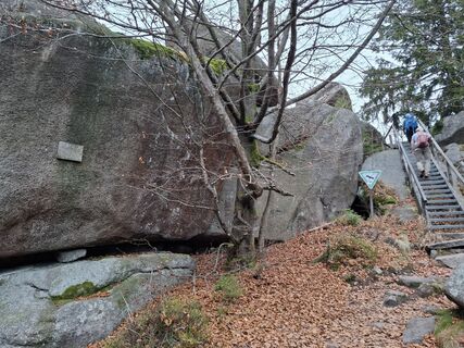 Foto van Wollomator langs de tour