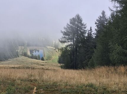 Foto de EdithVorlen a lo largo del recorrido