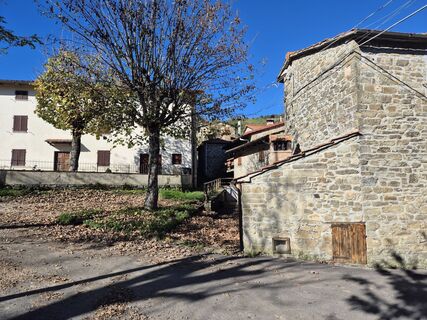 Photo de Thomi W le long du parcours