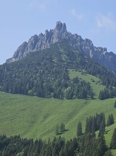 Fotografia z Mario Nöckl na trase