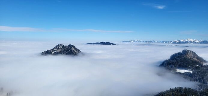 Foto von Isabella Leopolder entlang der Tour