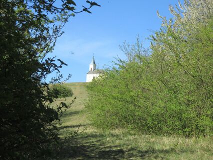 Knapp vor dem Ziel Michelberg