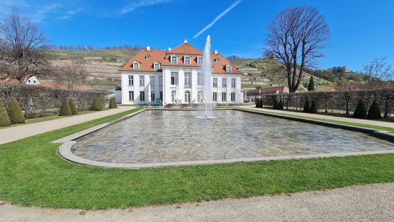 Fotografie z Andreas Porsche na trase
