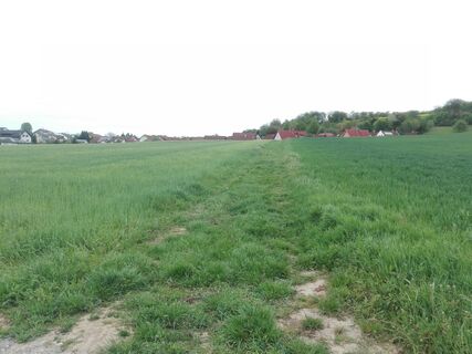 Feld zwischen Eschelbronn und Neidenstein