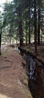 Foto von Hallunke Frank entlang der Tour