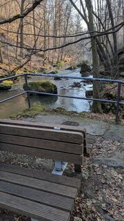 Zdjęcie z hochlandfamilie wzdłuż trasy