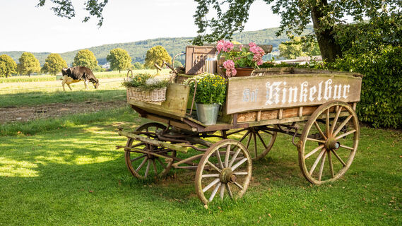 Minden-Biohof Kinkelbur-Teutoburger-Wald-Tourismus-D-Ketz-084-CC-BY-SA.jpg