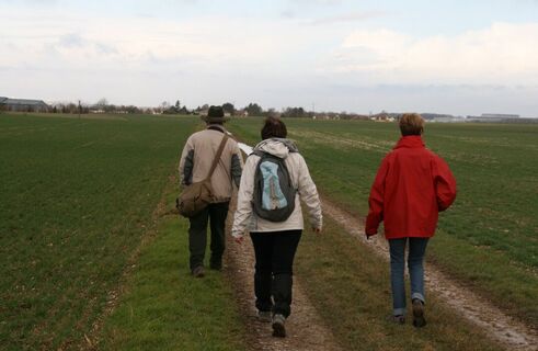 Boves_Wanderung_Sainte-Ulphe_weg