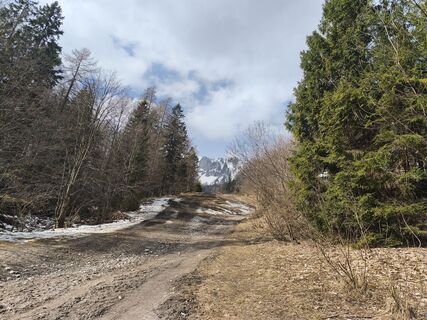 Photo de Marko Bešter le long du parcours