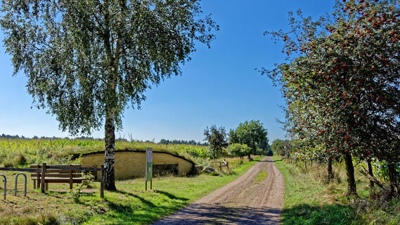 Die Grabhügelanlage in Granstedt mit Bank