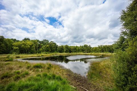 gescher-naturschutzgebiet-fürstenkuhle-04