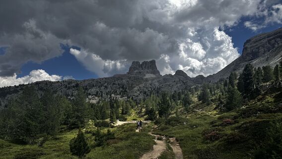 Fotografija s spletne strani Balint Pukli na poti