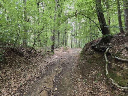 Foto von Timon Bertignoll entlang der Tour