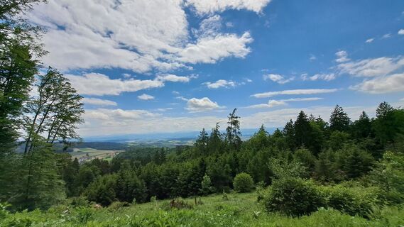 Foto von Anita Lunzer 1 entlang der Tour