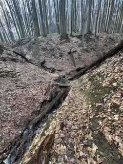 Foto von SanDyd entlang der Tour