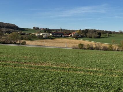 Foto de Schaali a lo largo del recorrido