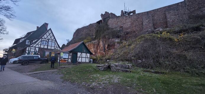 Foto von Martbaer entlang der Tour