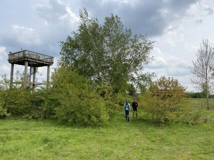 Niederlangen Kapellenmoorgraben