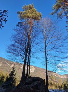 Foto von Dagmar Hofer entlang der Tour
