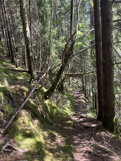 Photo de Milnik GmbH le long du parcours
