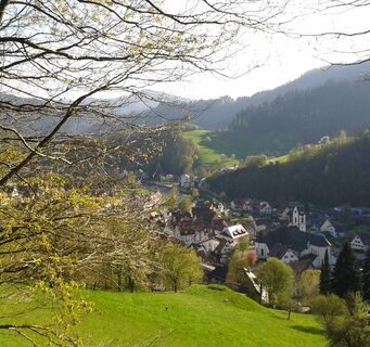 Ausblick auf Wolfach